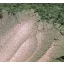 Gyöngyház hatású mica pigment por - fügekaktusz, 10g
